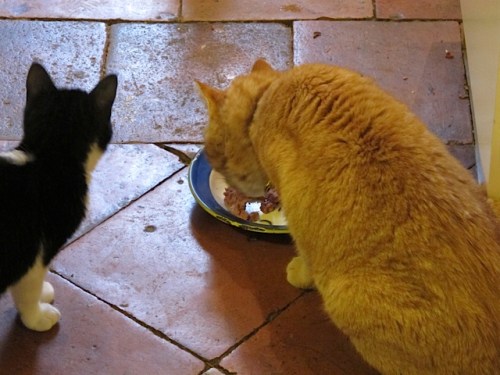 Ikittem with marmaMG_5550