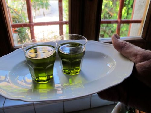 new olive oilMG_4997