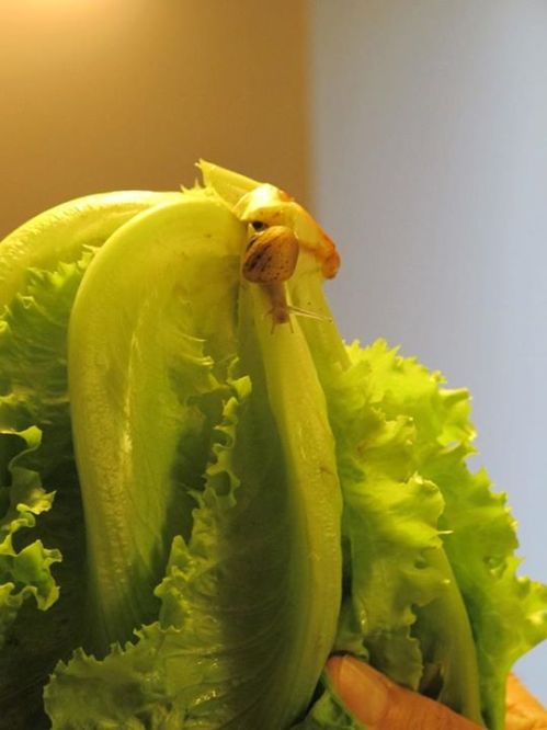 10298806_10152323450692283_5013977534308841763_n