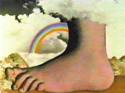 2861869-monty_foot
