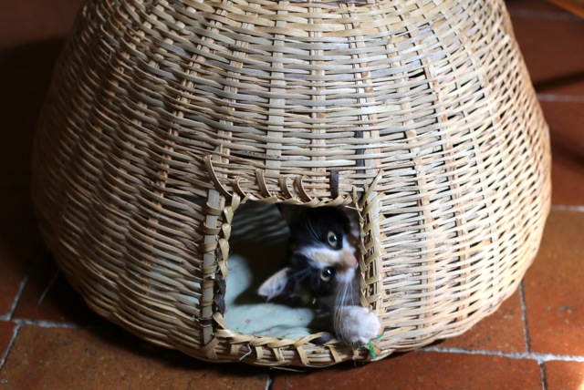 IMG_1262 - Version 3