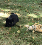 Screen Shot 2019-12-29 at 5.07.44&nbsp;PM